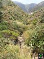 thn_Ruahine - Sunrise Hut 079.jpg
